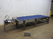 75" W x 250" L Automated Production Systems, Stainless Steel frame, 5-belt accumulation table, adjustable