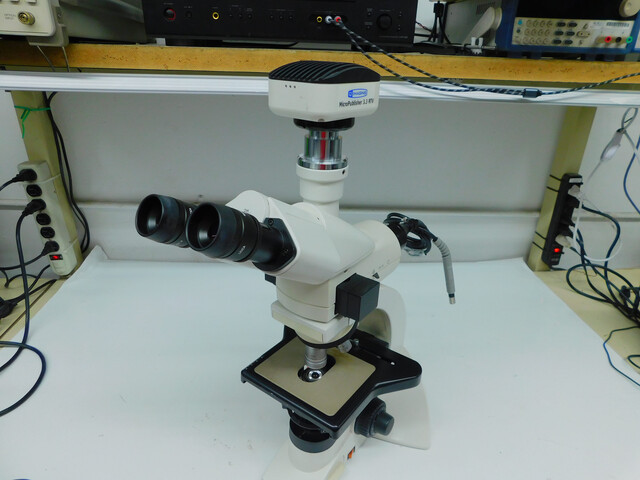 Leica #DM1000, System Microscope, 5-Position Nosepiece, Hi Plan Objectives