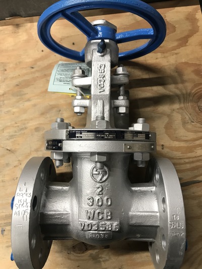 2" L & T Valves, gate valve, 300# class, raised face flanged, A216 WCB body, CR15 stem, HF seats, bolted