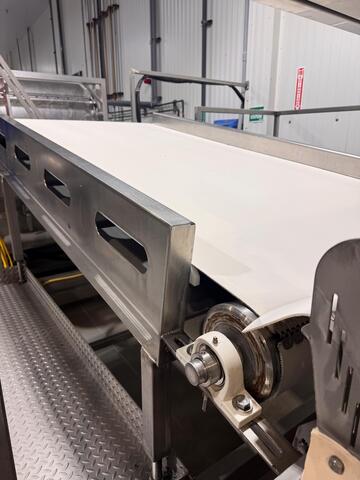 48" wide x 8' long, Stainless Steel Inspection Belt Conveyor, slight incline, food-grade cleated belt, (2)