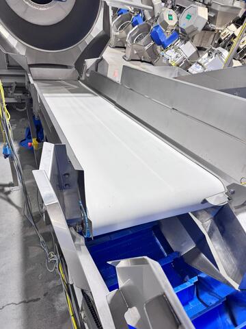 36" wide x 12' long, FTNON, Stainless Steel Incline Belt Conveyor, 10" breakaway sidewalls, food-grade belt