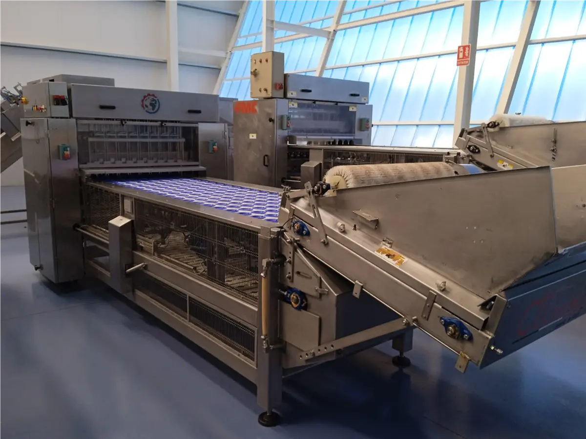 FMC #300-AL, halver pitter, 4500 kg/h, 8 lanes, 3 HP, 480 V., 60 Hz. (2 available)