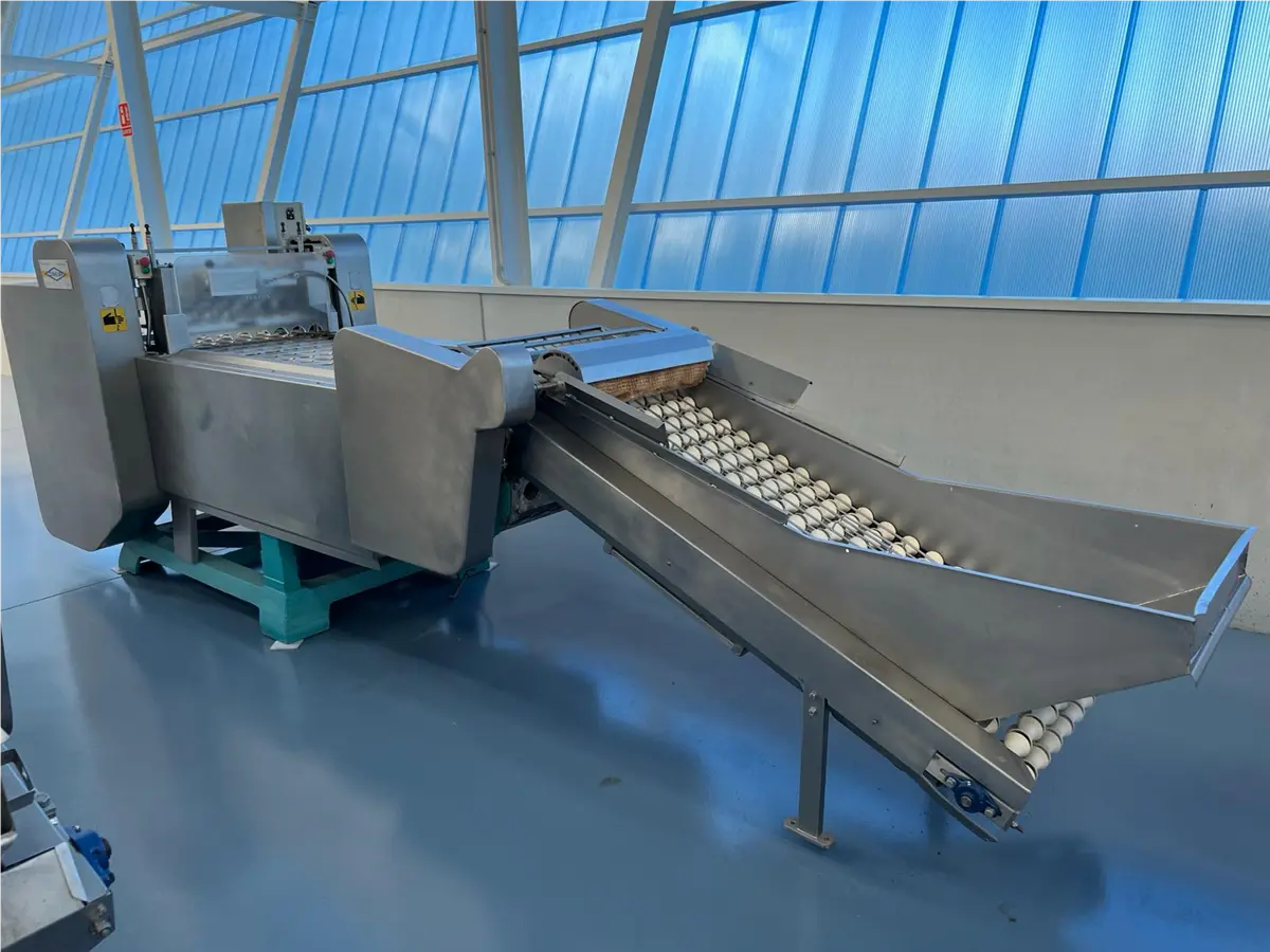OMIP #K7/2000, peach halver pitter, Stainless Steel, 2800 kg/h, 280 pieces/minute