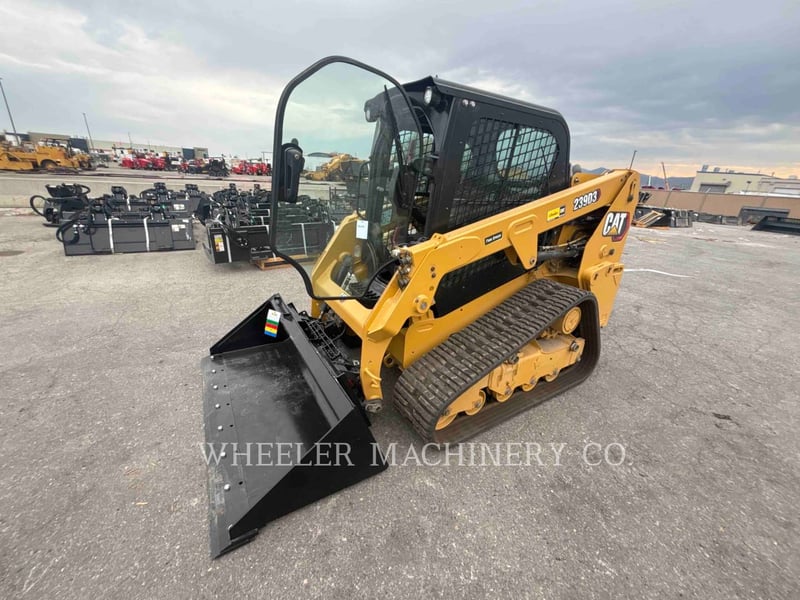 Cat　0609 0609-152.jpg