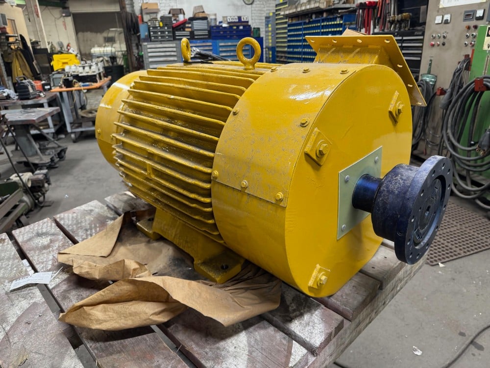 100 HP 1180 RPM P & H, Frame 504X, TENV, dbl-shaft, 460 Volts, (2 available)