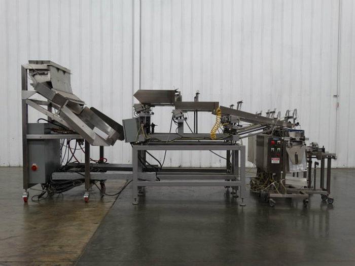 Weighpack Systems #TW/TP, Linear Counter & VS Bagging System, Stainless Steel, 4-head/4-lane, vibratory