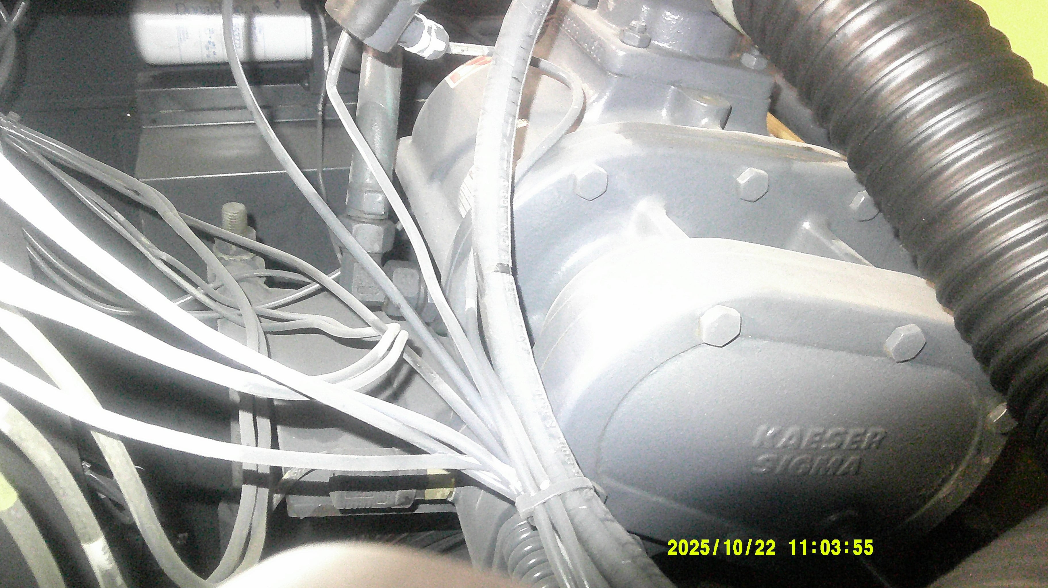 195 CFM, Kaeser #BS-51, rotary screw air compressor, 40 HP, 460 V., 3 Ph., 5947 hours, 1999 - Image 4