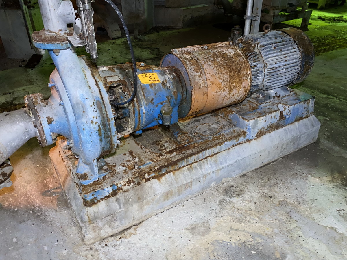 Goulds #3175S, screw thickener feed centrifugal pump, 4x6-18 - Image 1