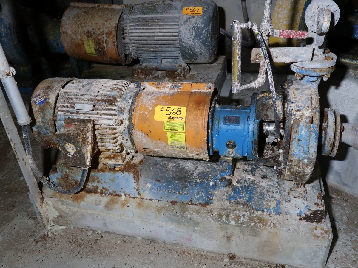 Goulds #3196MXT, Tertiary fine screen feed centrifugal pump, 2x3-13, 15 HP - Image 1