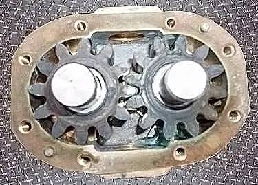 Rotary Positive Displacement Pump #1V360, 0.5 HP, 1725 RPM, 115-230 V, (2) 1" NPT Inlet/Outlet - Image 9