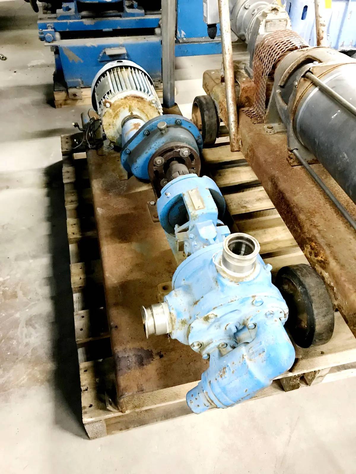 Viking #K124A, Positive Displacement Pump, 2 HP, 230/460 V, (2) 2" Tri-Clamp Inlet/Outlet - Image 4
