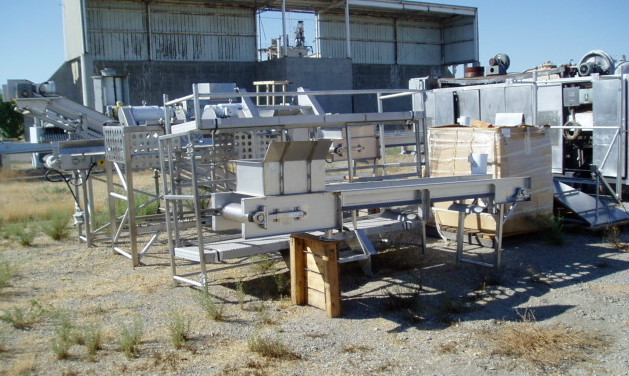 Commercial #Buzz Cutter, Pineapple Cutter, dual head buzz cutter, 12" x 16' feed conveyor, 36" x 22' & 16" x - Image 2