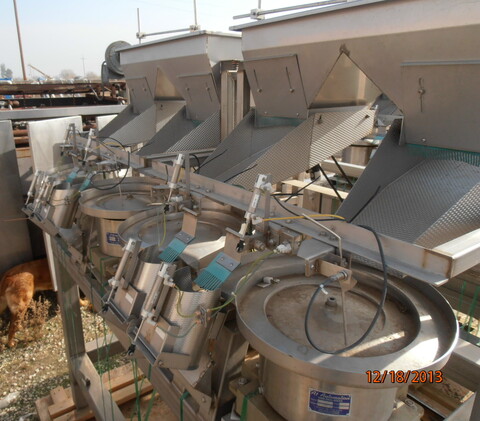 Action Pac, Weigh Filler & Sorter, Stainless Steel, (4) 18" diameter Weigh scale dimpled buckets - Image 3