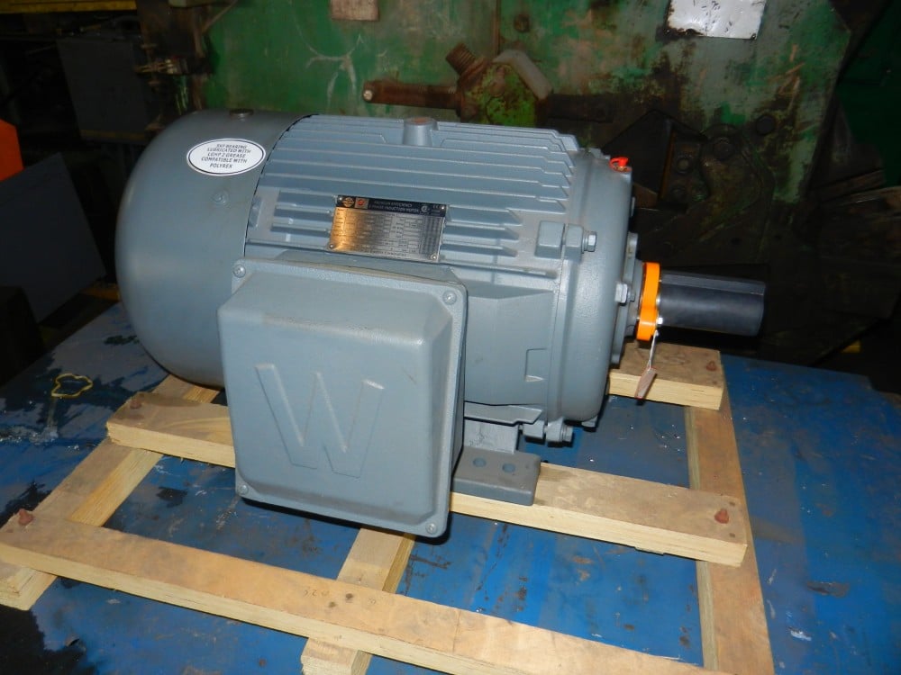 50 HP RPM Worldwide Electric Corp. Motor, also 100 HP, 230-460 Volts, brand new - Image 1