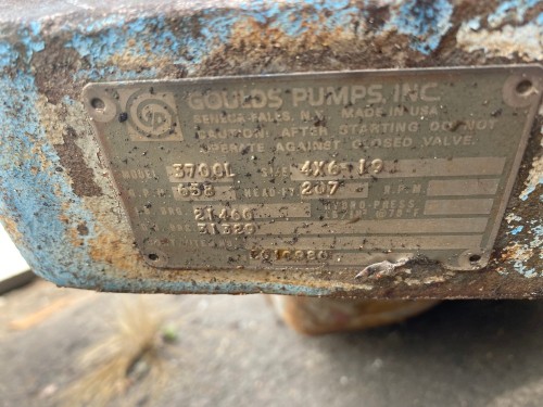 658 GPM @ 207' TDH, Goulds, 4x6-19 MODEL 3700L (CF3M), 3550 RPM - Image 1