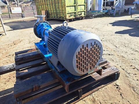 150 GPM, Goulds #SShut Height, 316 Stainless Steel centrifugal pump, 25 HP, 3-1/8" inlet, 2-1/2" outlet - Image 4