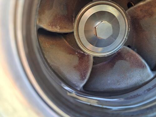 150 GPM, Goulds #SShut Height, 316 Stainless Steel centrifugal pump, 25 HP, 3-1/8" inlet, 2-1/2" outlet - Image 7