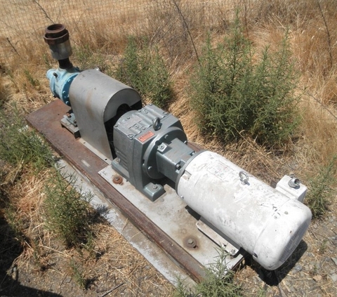 3" Viking #K125, Gear Pump, Stainless Steel, 6" impeller, 10 HP, 230/460V, 1770 RPM - Image 6