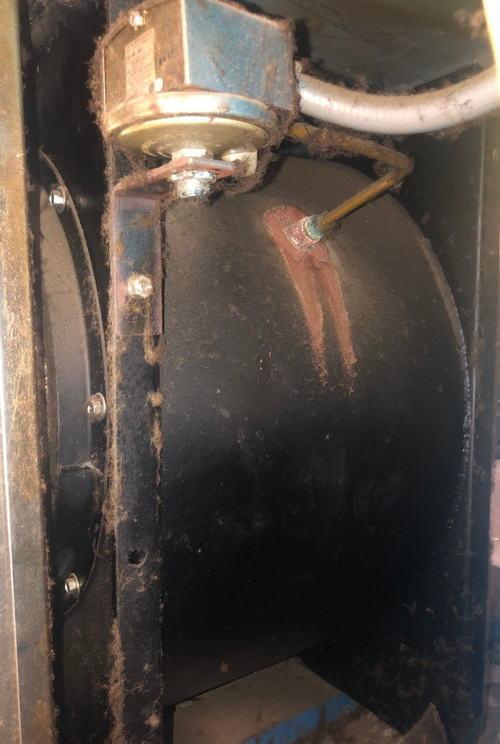 Jensen, rotary washer, 4-stage, 30" x 28', 1999 - Image 6