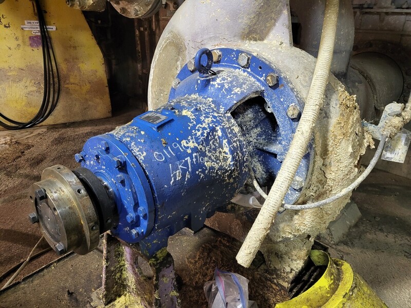 Goulds #3175L, Paper Stock/ Prcoess Pump, 250 HP, 890 RPM, 2300/4000 V, S/N V8D041 - Image 6