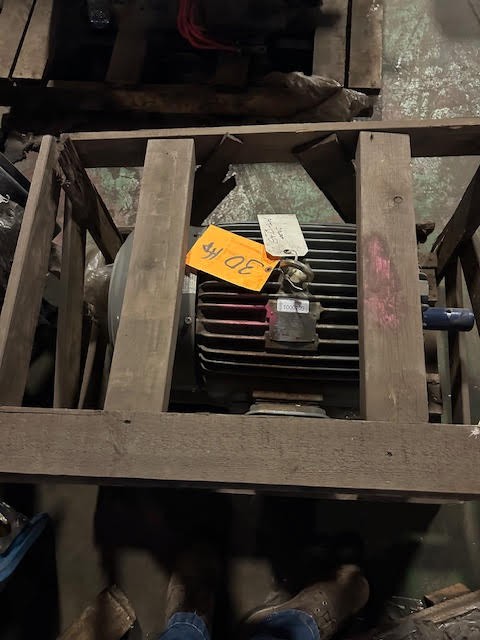 30 HP 1765 RPM GE, Fr. 288T, 230/460 Volts, Squirrel Cage, EOK - Image 2