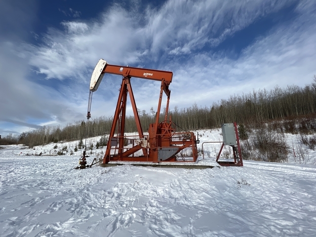 160 LeGrand #160-173-74, pump jack, 1999 - Image 2