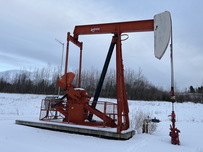 160 Legrand #160-173-74, pump jack, 1999 - Image 3