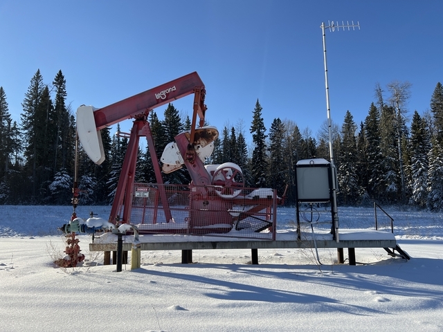 160 Legrand #160-173-64, pump jack, 1985 - Image 2