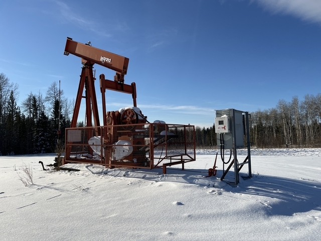 160 Legrand #160-173-74, pump jack, 1999 - Image 2