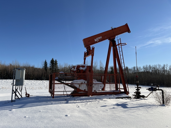 160 Legrand #160-173-74, pump jack, 1999 - Image 3