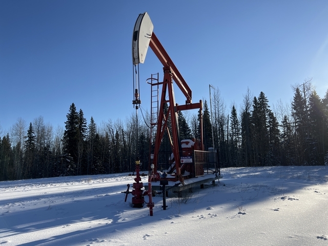 160 Legrand #160-173-74, pump jack, 1999 - Image 2