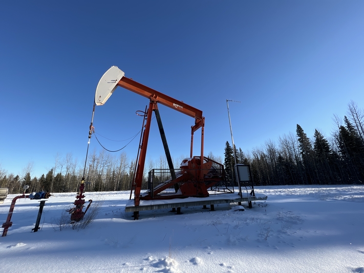 160 Legrand #160-173-74, pump jack, 1999 - Image 3