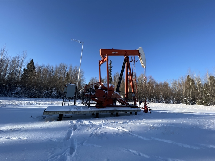 160 Legrand #160-173-74, pump jack, 1999 - Image 10