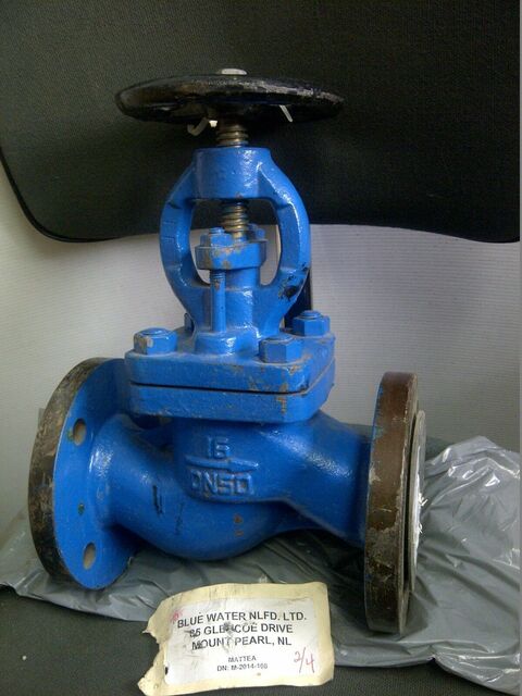 2" Industrial Cast Iron Globe Valves, 6.5" flange diameter - Image 1