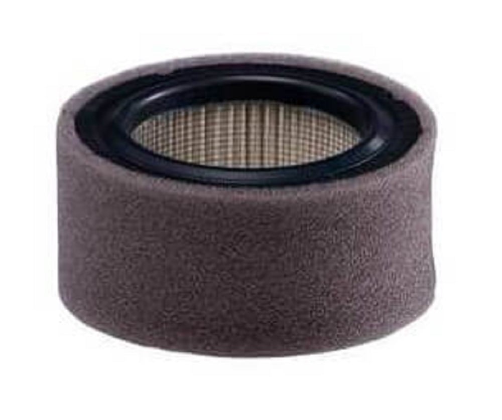 Johnson Controls #A-4000-612, Intake Air Filter, 10 SCFM, 3/4" Connection - Image 1