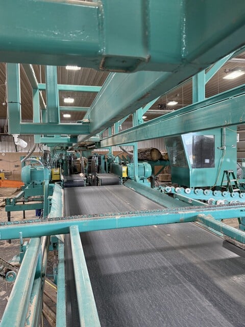 Helle End Dog Scragg Mill, Sawcab, Vertical Edger, Power Panel, 4-Strand, 20' Infeed Log Deck - Image 6