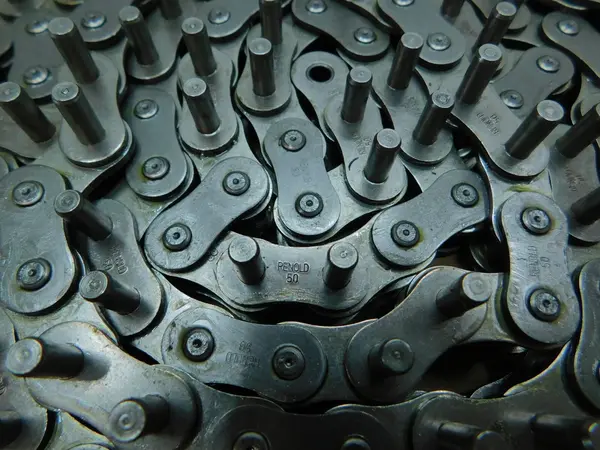 Renold, Offset Link Roller Chain, 10' length - Image 2