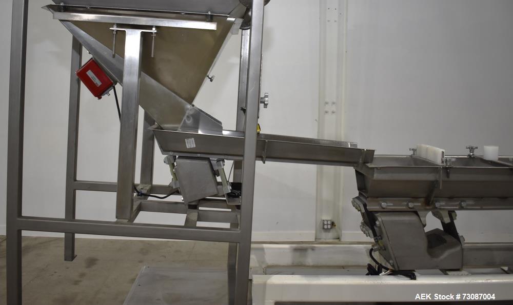 Weigh Right #IQ-SHUTTLE SP, Linear Bulk Dribble Scale. Infeed hopper with Syntron model BF-2-B magnetic - Image 6