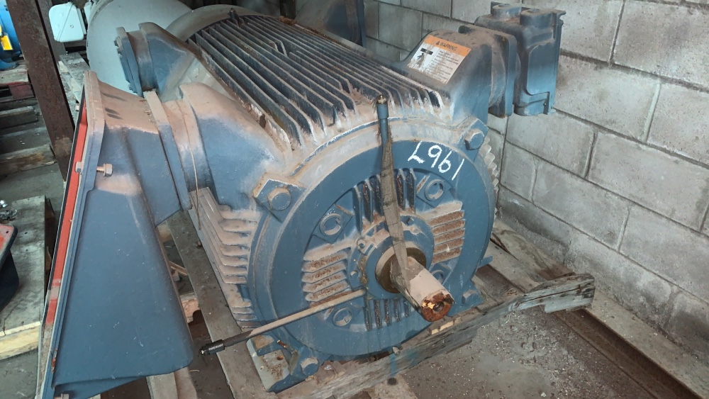 250 HP 3574 RPM Siemens, Frame 509S, TEFC, 1.15 service factor, 2300 Volts - Image 5