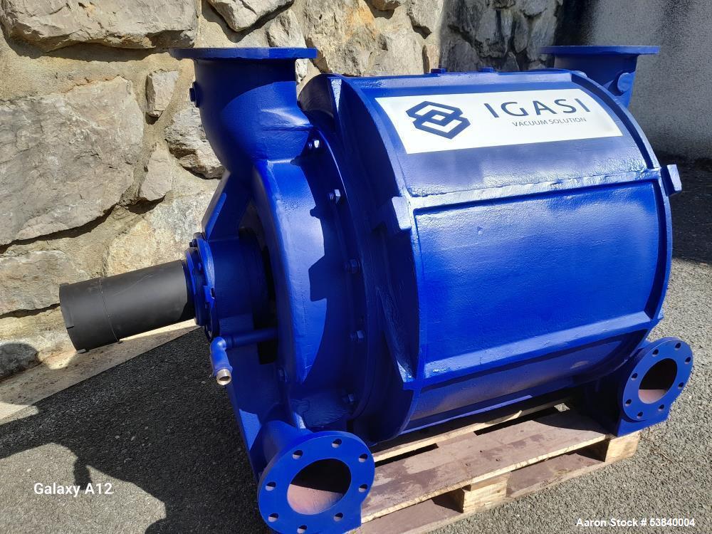 Igasi #IG3001, Industrial Liquid Ring Vacuum Pump, Suction Flow 3600 - 6000 m3/h; Vacuum 200 - 600" mm Hg, 1" - Image 1