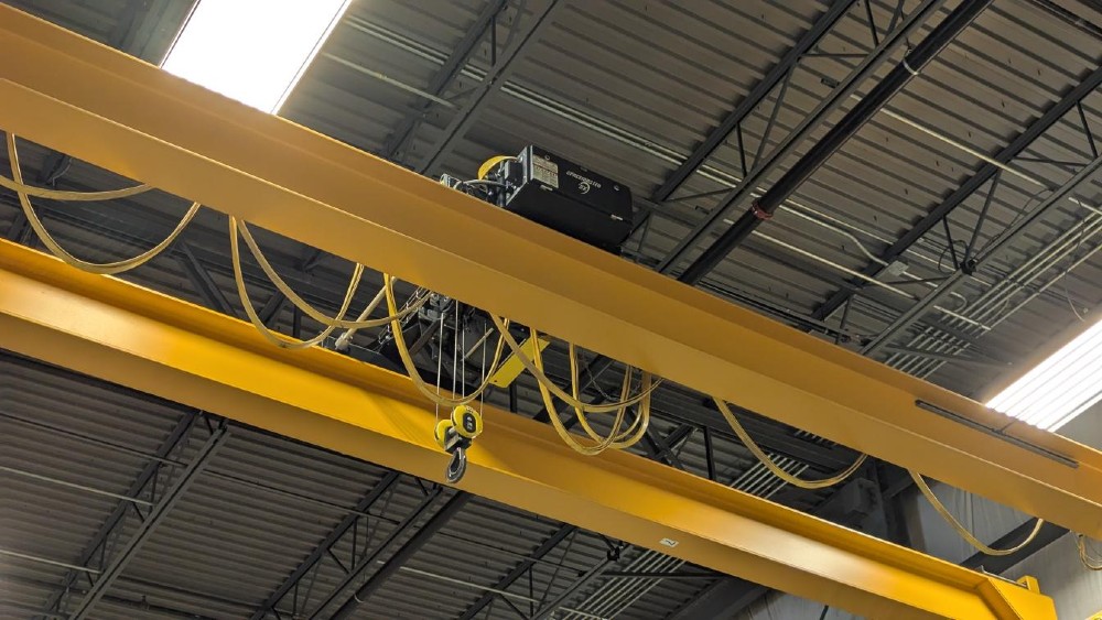 3 Ton, R & M, 54' 6" span, 31' lift, class D, radio control, VFD bridge/trolley, 2019 [#2580] - Image 2