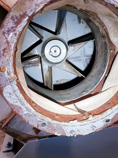 Illinois Blower #9MH, material handling fan, Stainless steel air stream contact parts, 10 HP - Image 5