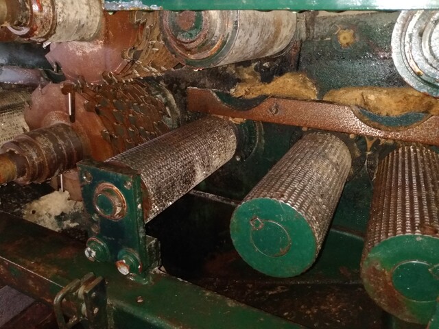 Pendu #M-4000, Gang Saw, w/ starter boxes, original rolls, 75 HP bottom & top arbors, 20 HP blower - Image 5