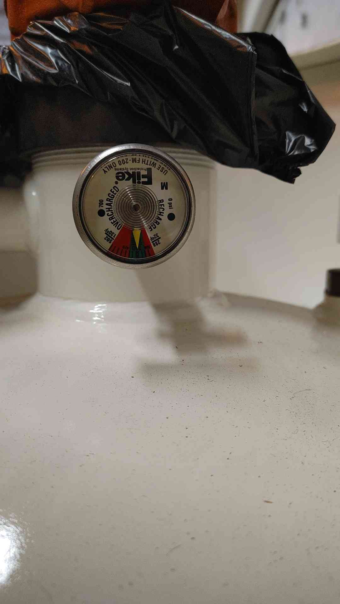 223 lbs. Fike, Clean Agent Extinguishing System Unit, FM-200 Agent - Image 4
