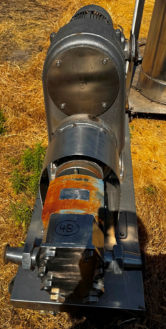 St. Regis, positive displacement lobe type pump, size 6R, 3" tri-clamp inlet & outlet, 10 HP - Image 2