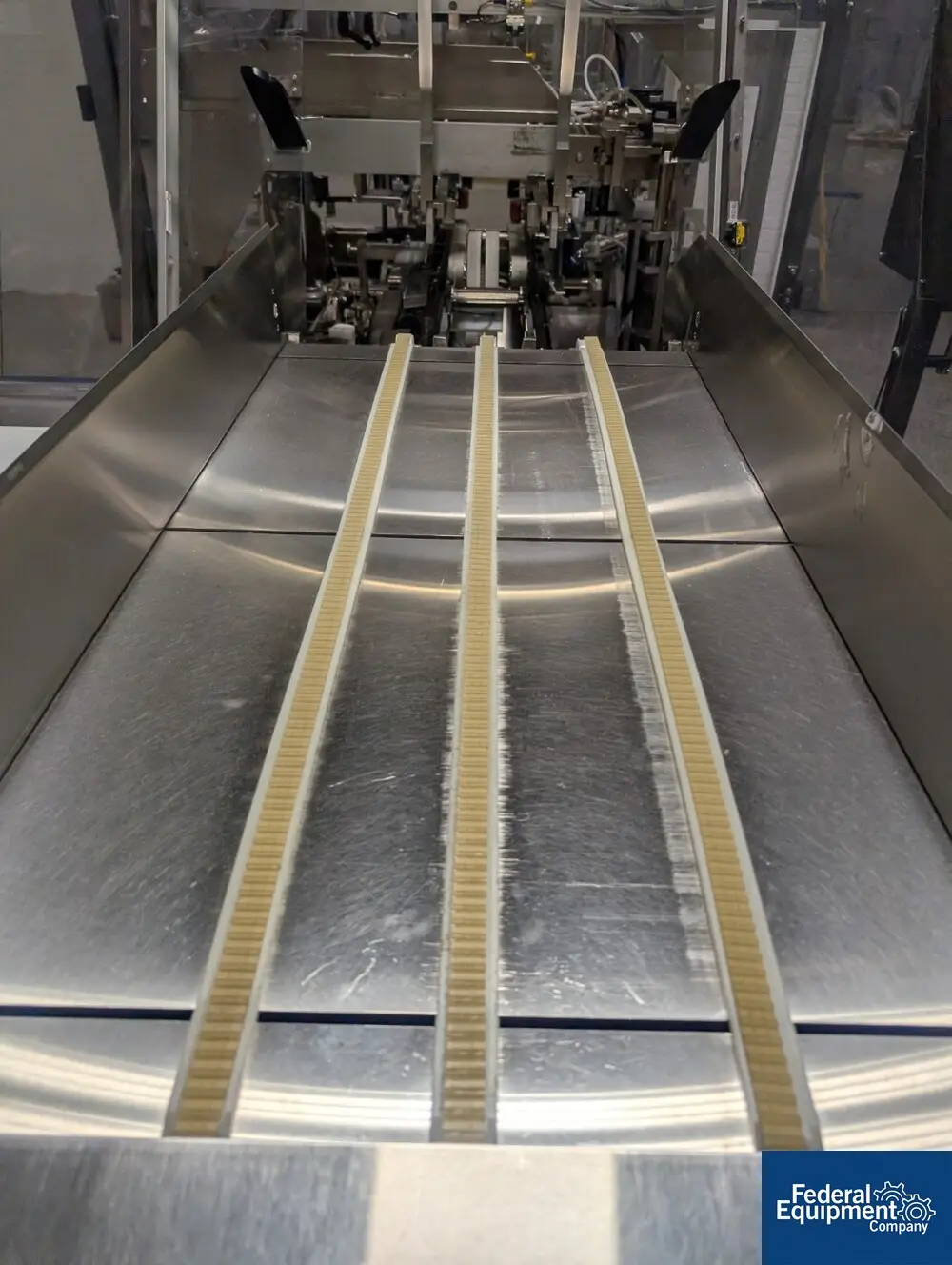 MGS #Advantage, Case Packer, powered case feeder, dual tag heads, PLC controls, 2008 - Image 6