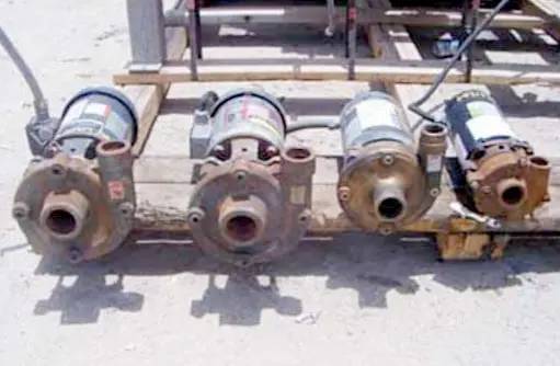 Teel #4RH63, centrifugal pump, 1.5 HP - Image 7