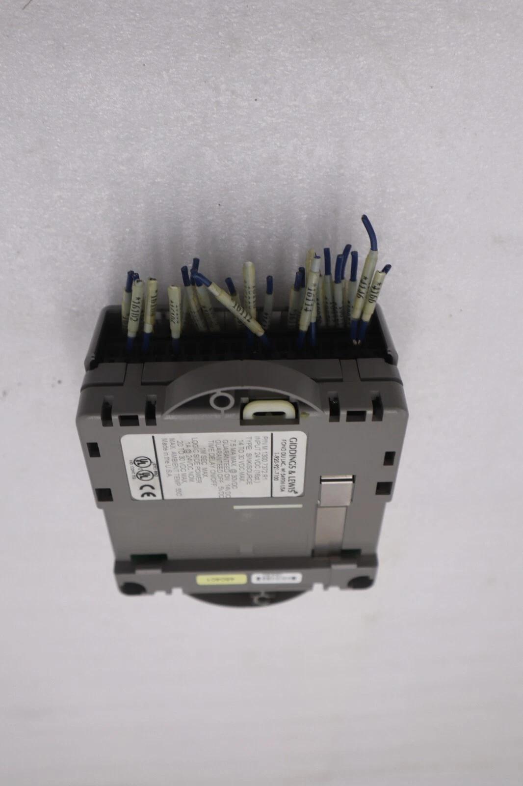 Giddings & Lewis M.1300.7372 R1 Input Module 24VDC SINK/SOURCE STOCK K-2919-A - Image 5