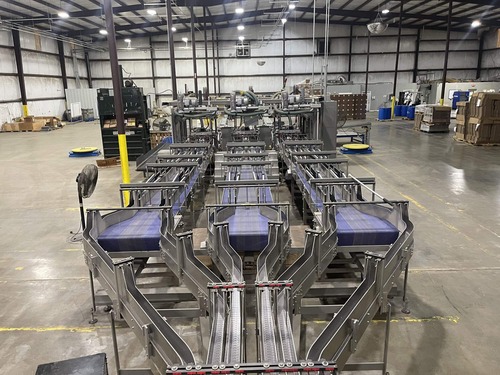 Douglas IPM, end-of-line packagin, palletizer - Image 8