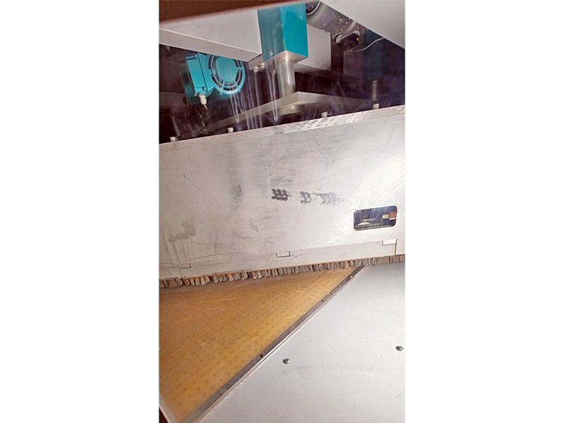 51" MB Roba-Tech #1300/2, denibbing rotational brush sander, 9-36 FPM, 2015 - Image 10